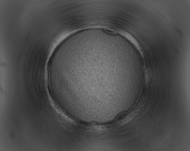 X0000090701096200708031408