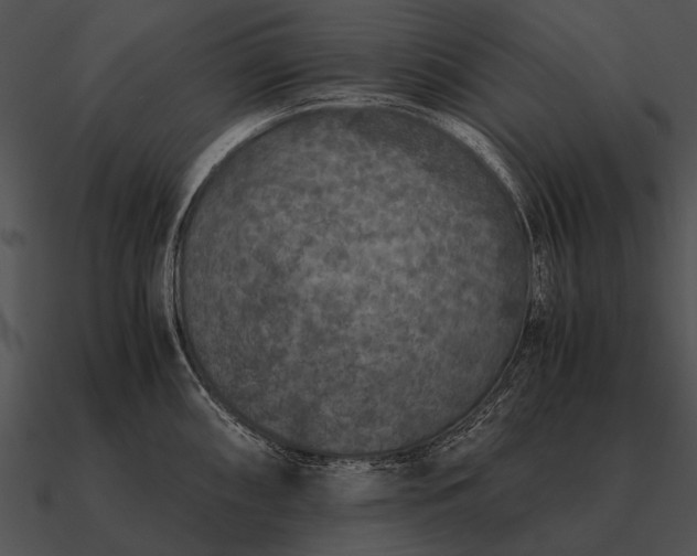 X0000090701098200708031408