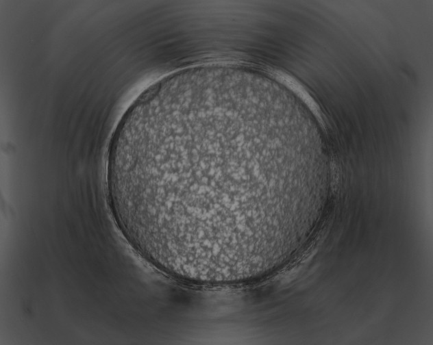 X0000090701099200708031408