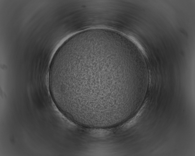 X0000090701100200708031408