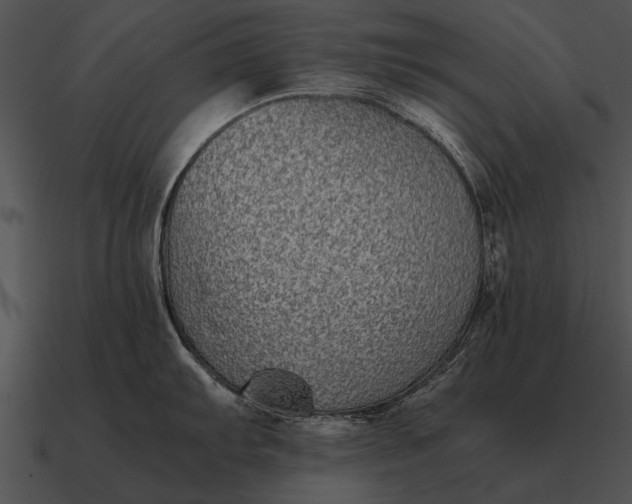 X0000090701103200708031408