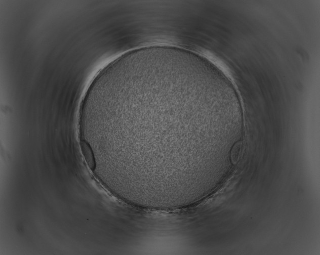 X0000090701104200708031408