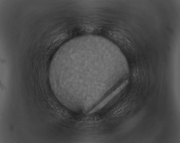 X0000090701105200708031407