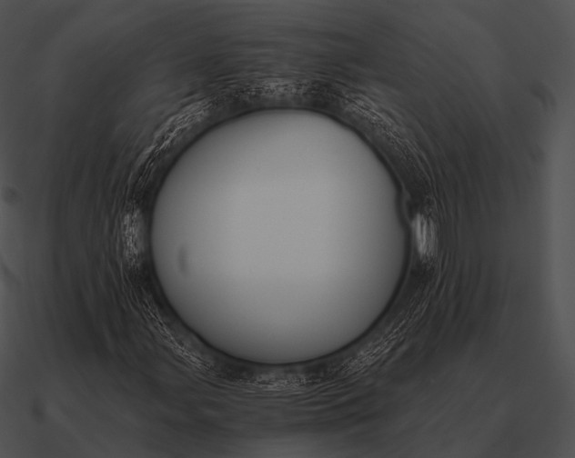 X0000090701107200708031407