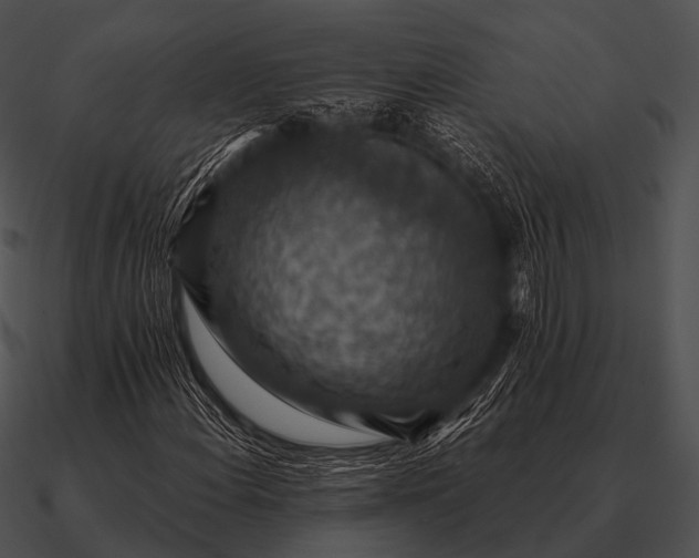 X0000090701108200708031407