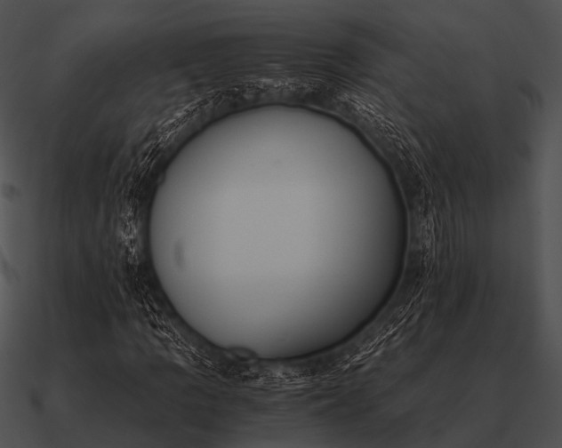 X0000090701109200708031407