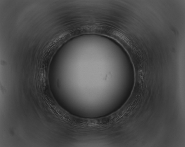 X0000090701111200708031407