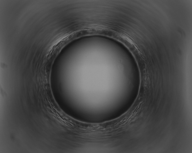 X0000090701112200708031407