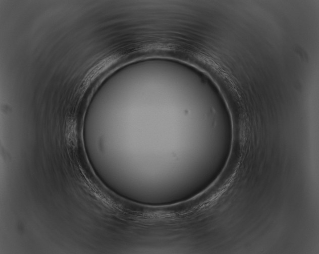 X0000090701113200708031407