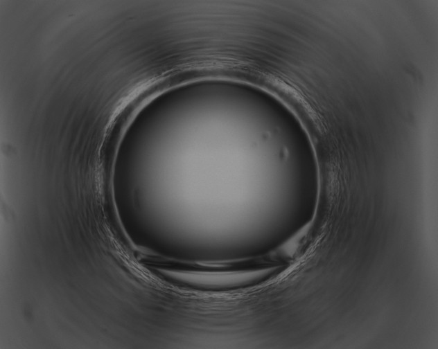 X0000090701114200708031407