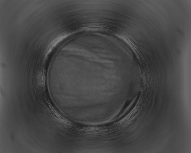 X0000090701115200708031407