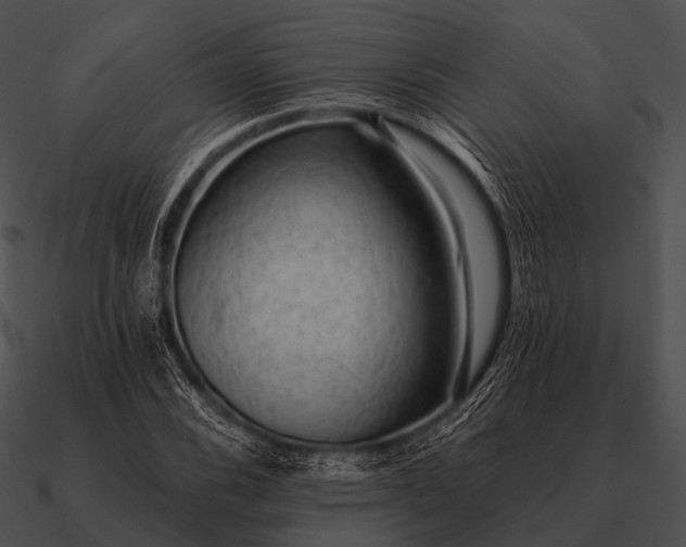 X0000090701116200708031407