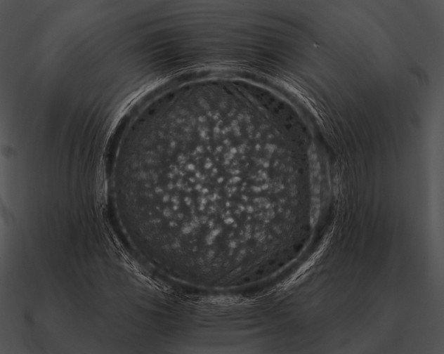 X0000090701117200708031407