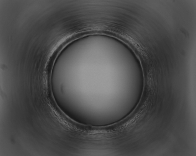 X0000090701118200708031407