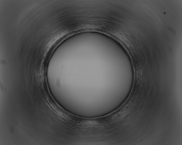 X0000090701119200708031407