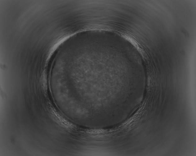 X0000090701120200708031407