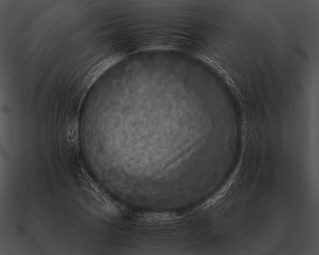 X0000090701121200708031407