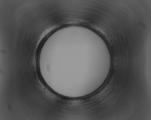 X0000090701122200708031407