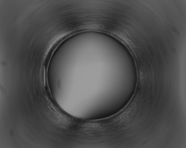 X0000090701123200708031407