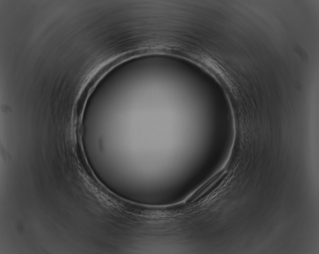 X0000090701124200708031407