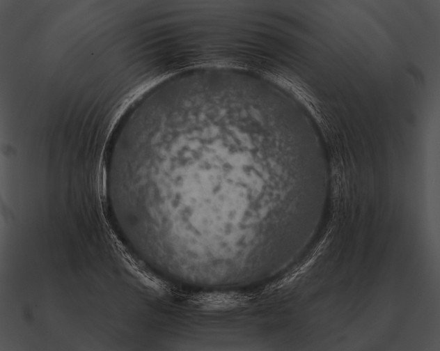 X0000090701125200708031407