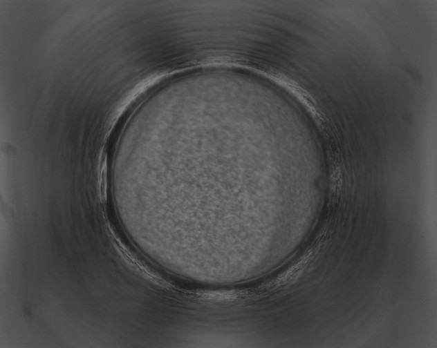 X0000090701126200708031407