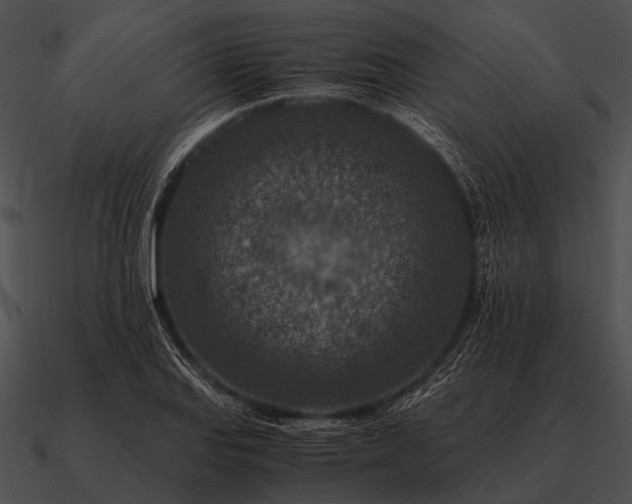 X0000090701127200708031407