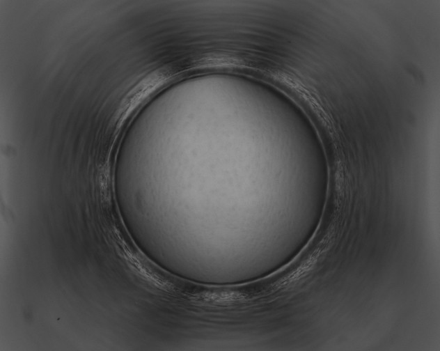 X0000090701129200708031407