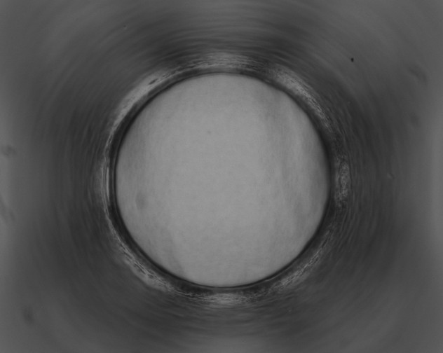 X0000090701130200708031407