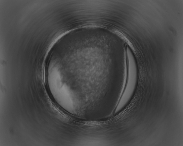 X0000090701132200708031407