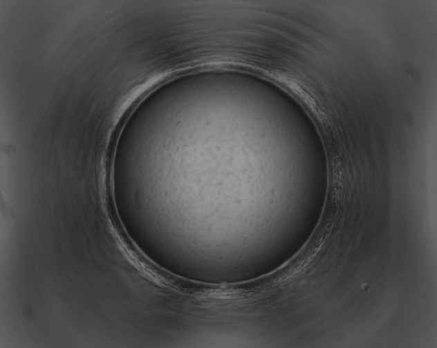 X0000090701134200708031407