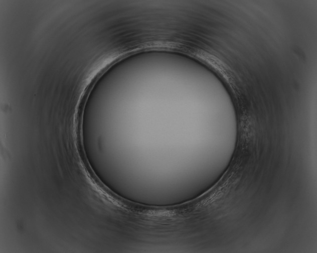 X0000090701135200708031407