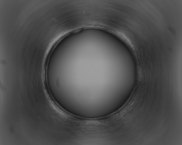 X0000090701136200708031407