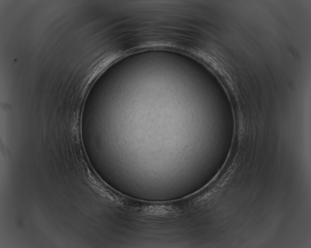 X0000090701137200708031407