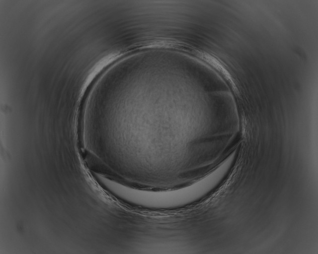 X0000090701138200708031407