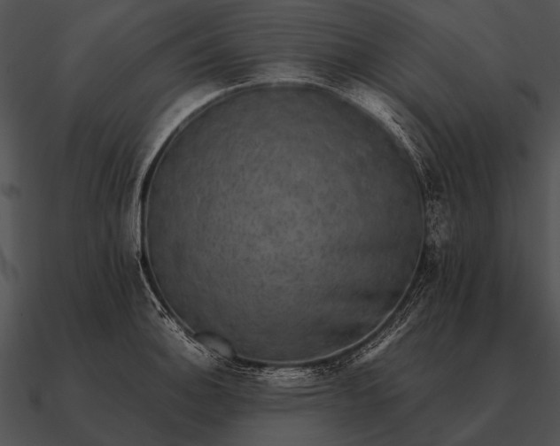 X0000090701140200708031407