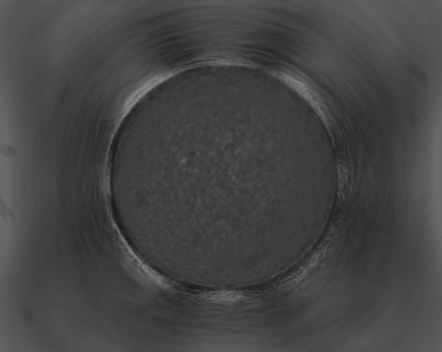 X0000090701141200708031408