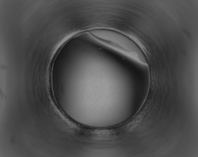 X0000090701142200708031408