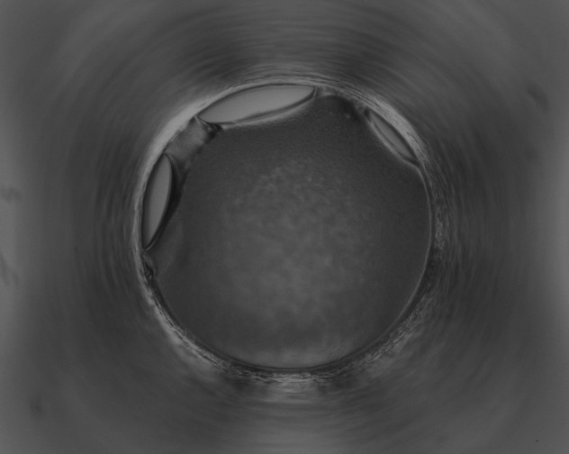 X0000090701144200708031408