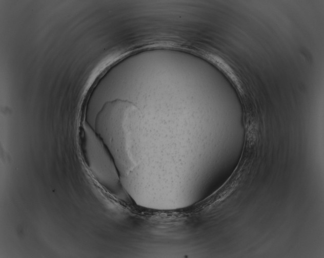 X0000090701146200708031408