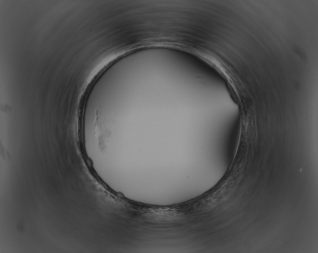 X0000090701147200708031408