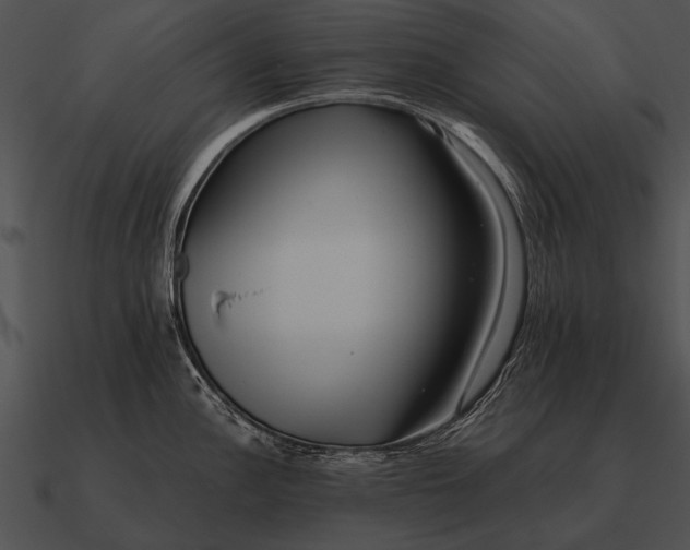 X0000090701148200708031408