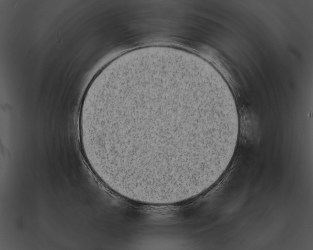 X0000090701150200708031408