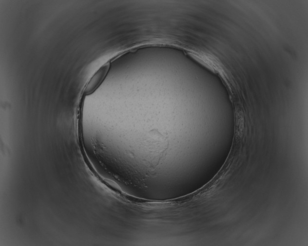 X0000090701151200708031408