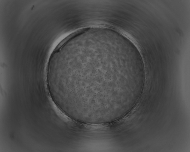 X0000090701152200708031408