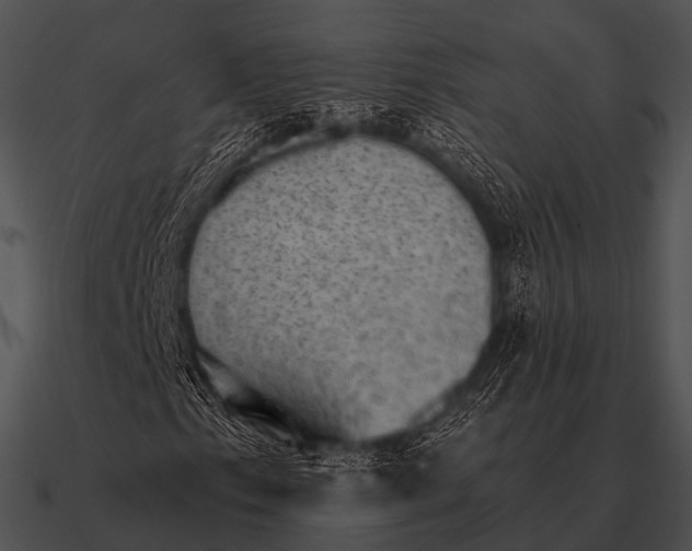 X0000090701153200708031407