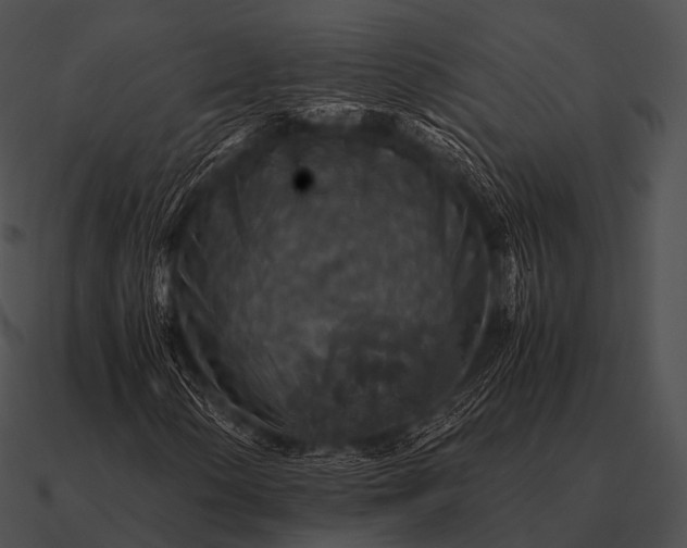 X0000090701154200708031407