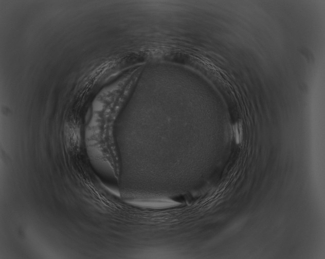 X0000090701155200708031407