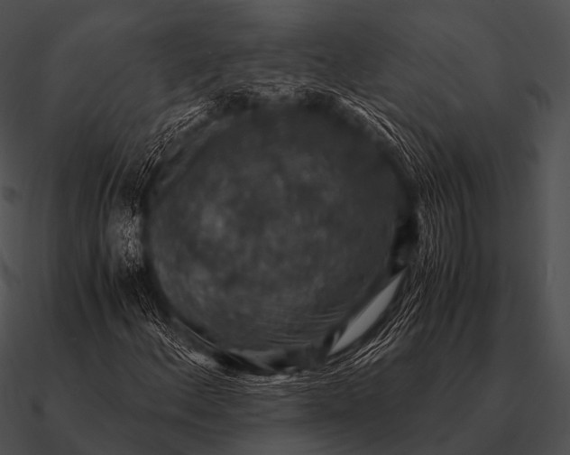 X0000090701156200708031407