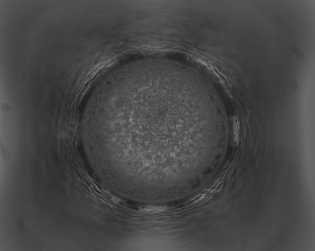 X0000090701157200708031407